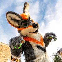 Dougie (@dougiewulf) 's Twitter Profile Photo Dougie (@dougiewulf) 's Twitter Profile Photo