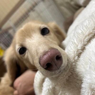 yu_yu_yu122's profile picture. いくら好きです