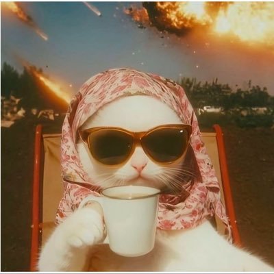📃 babeverse boys x muainalisa*゚。✦°⋆₊•brightrpp_ 🤿🪜🔆 •biblesumett 🎀🧧muai never cry