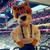 x - Nordy (@nordywild) Twitter profile photo x - Nordy (@nordywild) Twitter profile photo