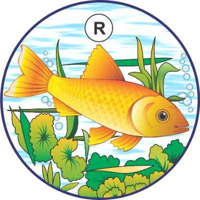 fishcandles's profile picture. Established in 1964, Fateh Industries' Fish brand candles have become one of India's finest, blending decades of evolution with unmatched craftsmanship.