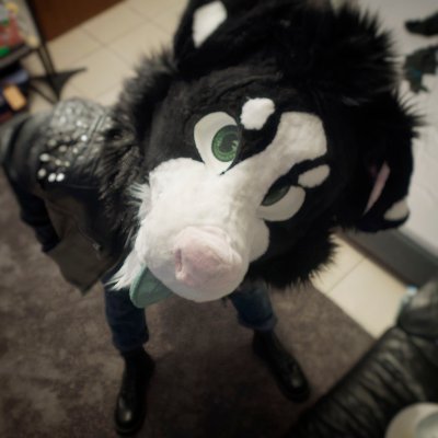 mikai_mik's profile picture. Be Punk. Be dog.

21 | He/Him