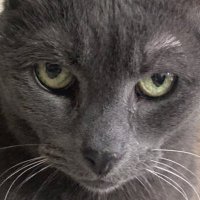 James Shortz (@jimshortz44) 's Twitter Profile