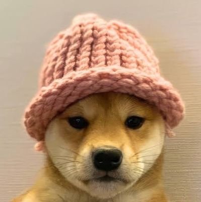 wakamary1's profile picture. 🐾 投資×日常を記録するアラフォー夫  
💰 資産2000万↑／株・米国株・投信  
👨‍👩‍👦 転職→収入ダウン→節約＆投資でFIRE目指す  
📅 2021年から投資スタート  
🎯 目標：まずは資産3000  
👑 嫁は散財王／夫は地道派  
#投資初心者 #日常