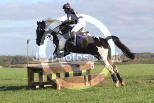 sally2302's profile picture. 