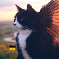 🐈⬛🐈⬛ Christine 🐾🐾🐾🐾🐾🐾 (@xxtwxtcatzz) 's Twitter Profile Photo 🐈⬛🐈⬛ Christine 🐾🐾🐾🐾🐾🐾 (@xxtwxtcatzz) 's Twitter Profile Photo