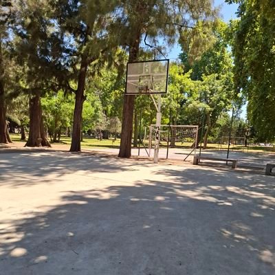 merindart's profile picture. 