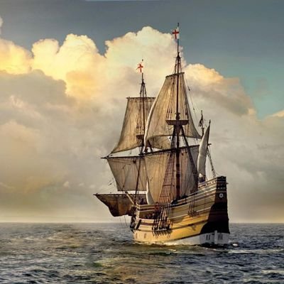 History lover. Patriot. Cousin of Benjamin Franklin. Mayflower ancestors. Bachelor's degree in physical anthropology. Published in children's literature.