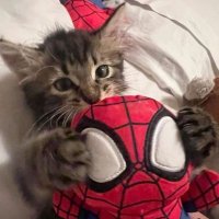 martiki :) (@mrtki_) 's Twitter Profile