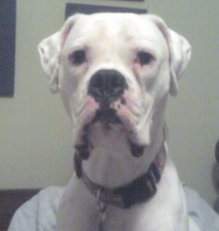 justinmcalpin's profile picture. hopeful, born into a promise, a life undeserved…with a smirk