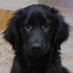 Bella Hobbs #DoNotComply. Be on the side of PEACE. (@bellahobbs7) Twitter profile photo