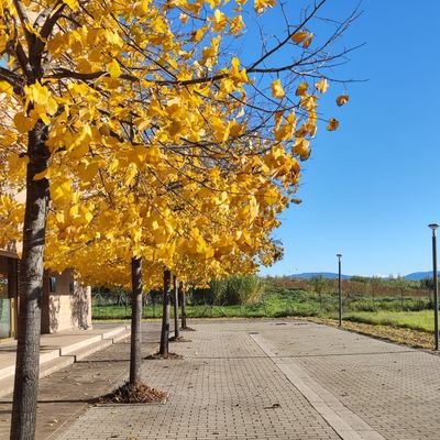 mia_lilly2254's profile picture. 