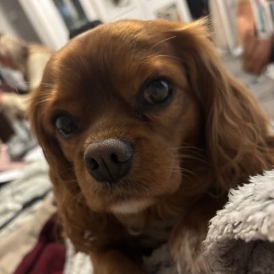 Victori44908088's profile picture. Proud Mother, Nurse. living each day with gratitude and purpose 🌟 smiling through the chaos 🤩