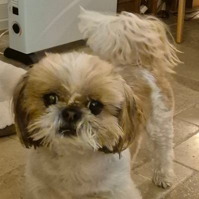 Herni24Neil's profile picture. Proud father,UEFA B licence