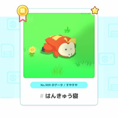 20↑♂  ポケモンGO、ポケスリ、ポケポケ、原作を主にやってます。ポケスリ初心者です。