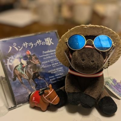 yukokannatch's profile picture. 馬中心（競馬と乗馬）の生活を送りたい、臨床はパープーの資格持ち( ΦωΦ )