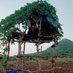 बात मुद्दे की.... (@ajay_tribal) Twitter profile photo बात मुद्दे की.... (@ajay_tribal) Twitter profile photo