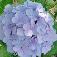 しまちゃん.🌈💜❤️ (@norikoshi_love) 's Twitter Profile Photo