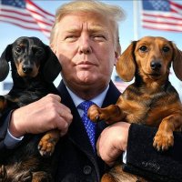 D-MAGA-Dachshund ๐บ๐ธ (@gonz26c) 's Twitter Profile