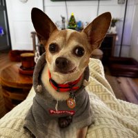 Squirt’s🐶Momma (@squirts_momma) 's Twitter Profile Photo Squirt’s🐶Momma (@squirts_momma) 's Twitter Profile Photo