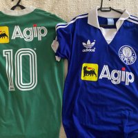 Palmeiras Sempre ⓟ (@palmeirassemp14) 's Twitter Profile Photo