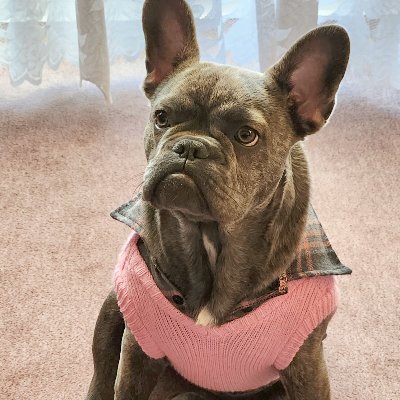 GeogieLuis48's profile picture. Hobby HDR-Fotografie 🇩🇪