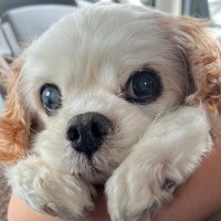 yuka nagahama (@yukanagahama) 's Twitter Profile