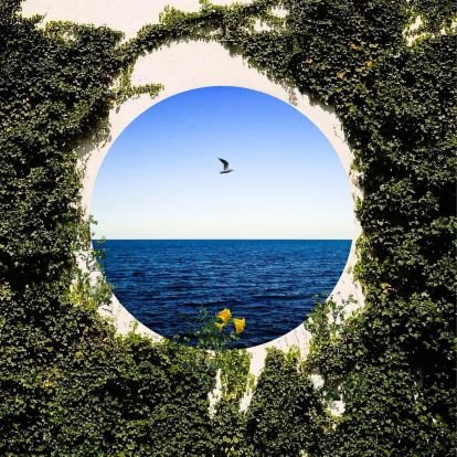 mnksksmn's profile picture. 🇹🇷