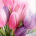 🌸أم ريان الشبلية🌸 (@kqlinppiiknd1ld) Twitter profile photo 🌸أم ريان الشبلية🌸 (@kqlinppiiknd1ld) Twitter profile photo