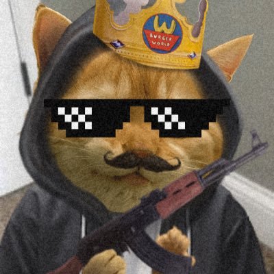 to_forap's profile picture. dev bitcoinheiro🇳🇱🐓