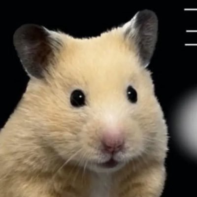 zzanggucantdry1's profile picture. 내 인생+네 인생=우리인생