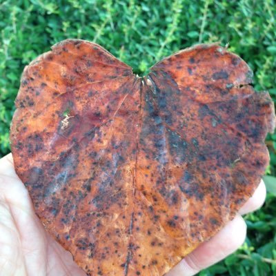 Agdoc328467's profile picture. 