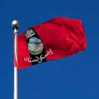 Muhammad Ahmad (@ch173596) 's Twitter Profile