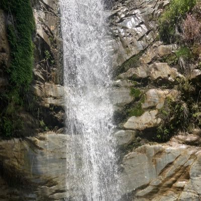 MauriCi57213923's profile picture. 