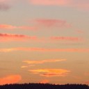 Andrea Marsh - @erstwhistle - Twitter