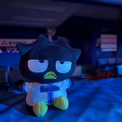 tzk_not_bf's profile picture. De#17.#57.#58.#41.#95.#68 全選手好き/12球団好きです。