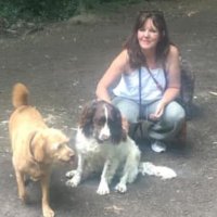 Dogs of Tooting 1 (@jacquisaid) 's Twitter Profile