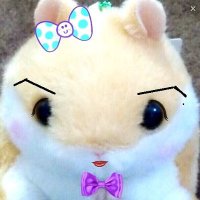 ちび~ぬ ╰( ´◔ ᾥ ◔ `)╯こんな🇯🇵 (@gal_star1998) 's Twitter Profile Photo ちび~ぬ ╰( ´◔ ᾥ ◔ `)╯こんな🇯🇵 (@gal_star1998) 's Twitter Profile Photo