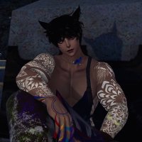 Ryushin (@ryuwushin) 's Twitter Profile