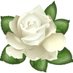 Publius184848 (@publius184848) Twitter profile photo Publius184848 (@publius184848) Twitter profile photo