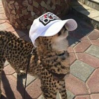 𝙽𝚎𝚜𝚜𝚊 🌍♀️ (@fourthwaver) 's Twitter Profile Photo
