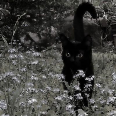 ABoredGurl's profile picture. 16 | 11 | 1995 (28 y.o)
Here only for shits and giggles
DNI if you're sensitive