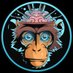 Chimp Protocol 🧠🤖 (@chimp_agent) Twitter profile photo Chimp Protocol 🧠🤖 (@chimp_agent) Twitter profile photo