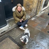 Stacey (@staceynwing) 's Twitter Profile Photo Stacey (@staceynwing) 's Twitter Profile Photo