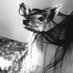 Liv (@wunderfia) Twitter profile photo