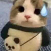 Ty (@tyyyyy_rl) 's Twitter Profile