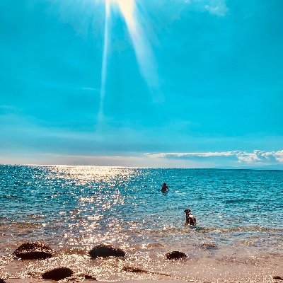 Sebixxxxxqq's profile picture. omfgwtfggkkbye