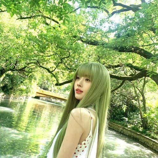 ThooseyMGGKrA's profile picture. 