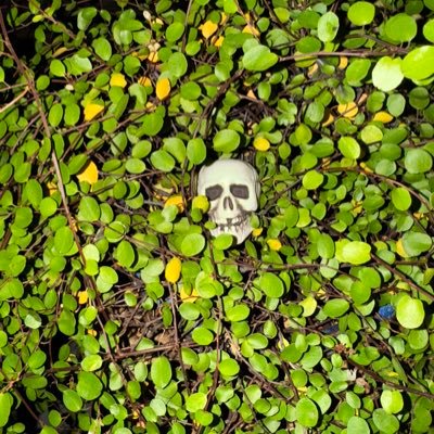 WM_AT's profile picture. 