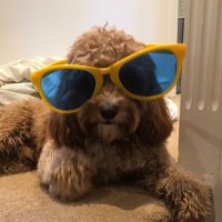 Stephen Good 🏴🇪🇺🏳️🌈 (@stephengood11) 's Twitter Profile